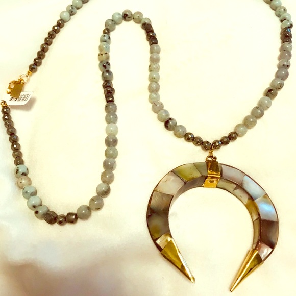 Jewelry - Whitney V Double Abalone Horn Pendant Necklace